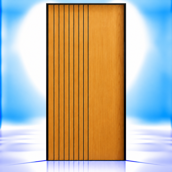 Linear Rhythm Mica Door